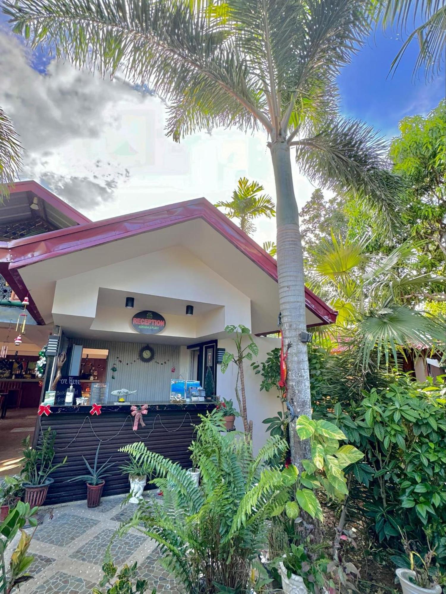 Adrianas Place Panglao Panglao City Exterior foto